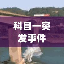 科目一突发事件应对教程,实操指南与视频教学助你轻松应对突发状况!