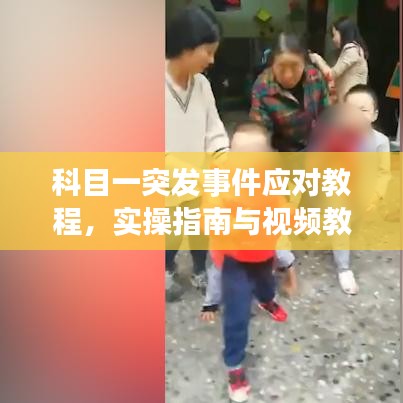 科目一突发事件应对教程,实操指南与视频教学助你轻松应对突发状况!