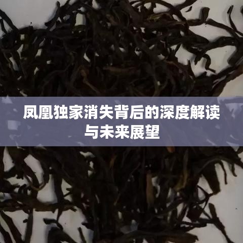 凤凰独家消失背后的深度解读与未来展望