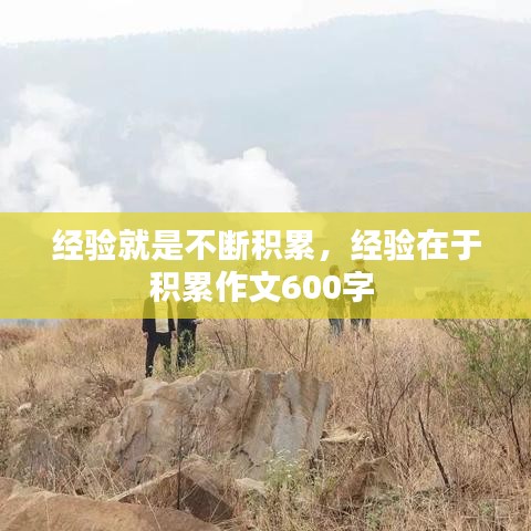 经验就是不断积累，经验在于积累作文600字 