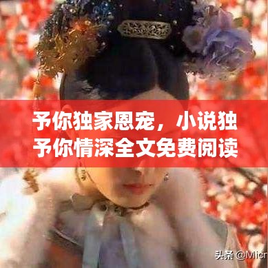 予你独家恩宠，小说独予你情深全文免费阅读 