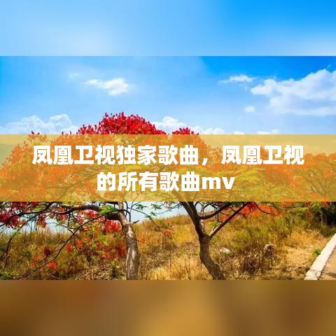 凤凰卫视独家歌曲，凤凰卫视的所有歌曲mv 