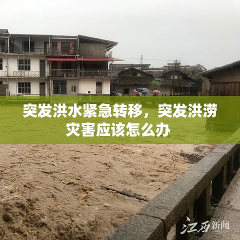 突发洪水紧急转移，突发洪涝灾害应该怎么办 