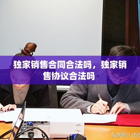 联系我们 第141页