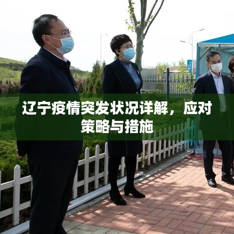 辽宁疫情突发状况详解，应对策略与措施