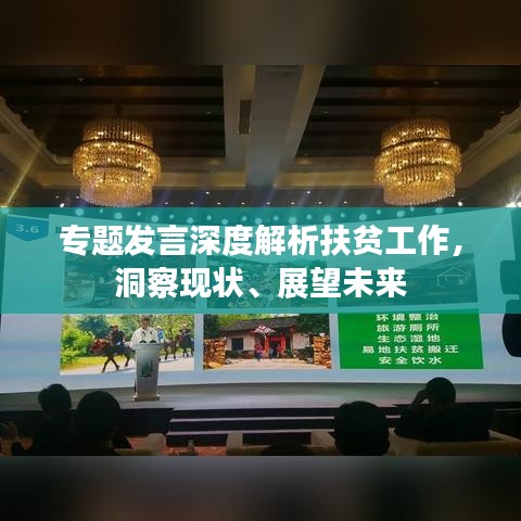 专题发言深度解析扶贫工作,洞察现状、展望未来