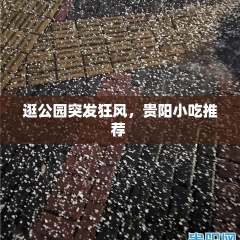逛公园突发狂风,贵阳小吃推荐