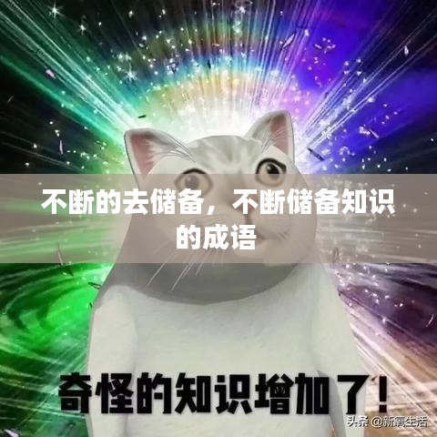 不断的去储备，不断储备知识的成语 