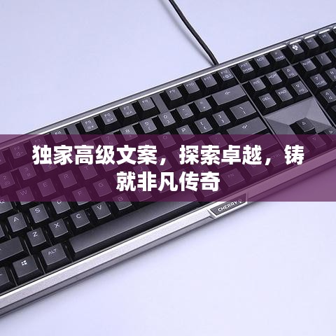 独家高级文案,探索卓越,铸就非凡传奇