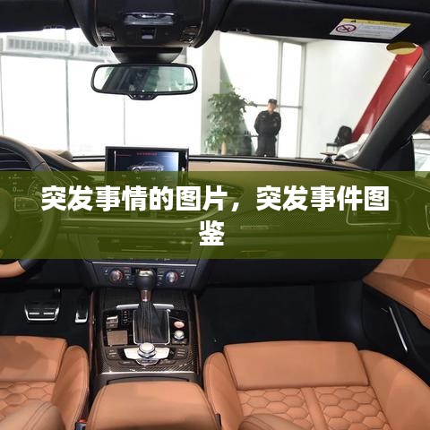 突发事情的图片，突发事件图鉴 