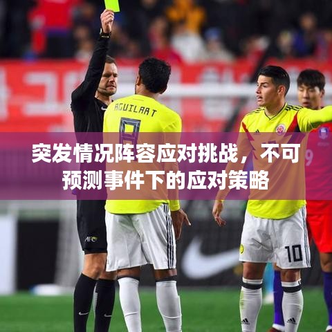 突发情况阵容应对挑战,不可预测事件下的应对策略