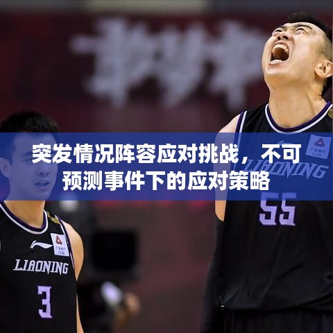 突发情况阵容应对挑战,不可预测事件下的应对策略