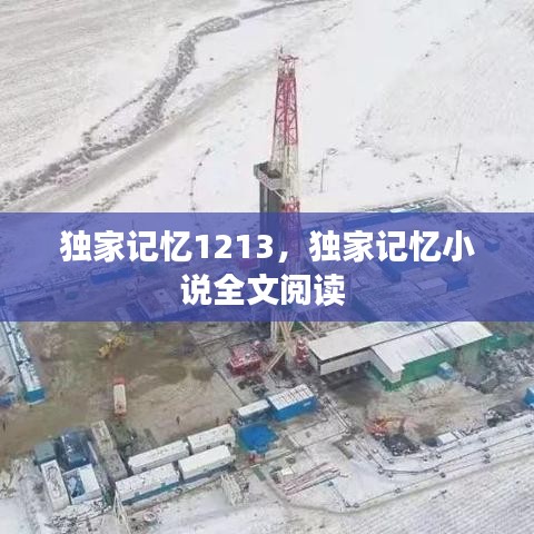 回收案例 第139页