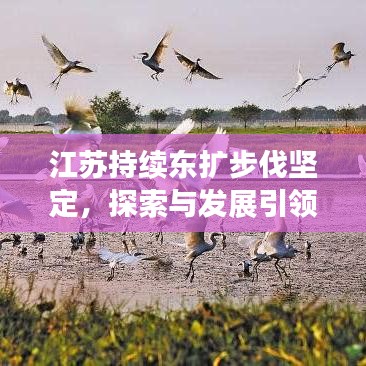 江苏持续东扩步伐坚定,探索与发展引领新征程