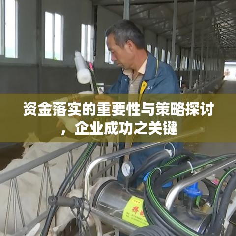 资金落实的重要性与策略探讨,企业成功之关键
