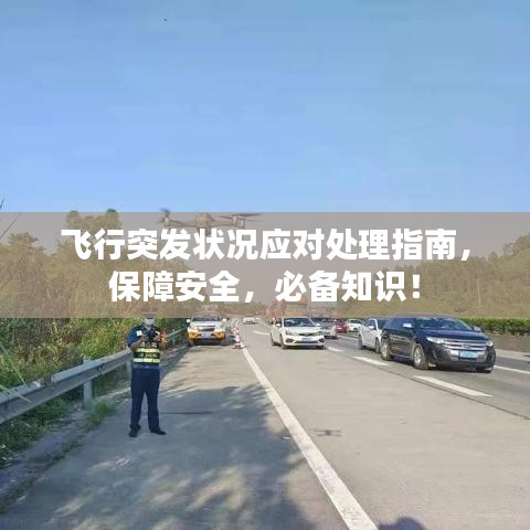 飞行突发状况应对处理指南，保障安全，必备知识！