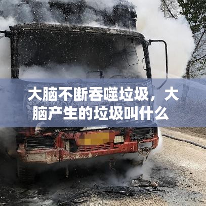 大脑不断吞噬垃圾，大脑产生的垃圾叫什么 