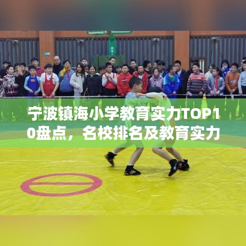 宁波镇海小学教育实力TOP10盘点，名校排名及教育实力概览