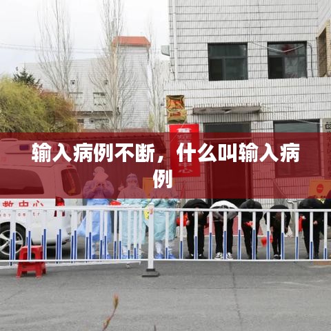 输入病例不断,什么叫输入病例