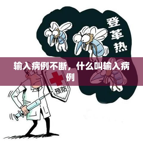 输入病例不断,什么叫输入病例