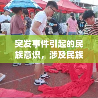 突发事件引起的民族意识，涉及民族因素突发事件总结 
