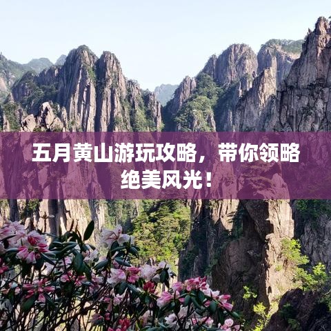 五月黄山游玩攻略,带你领略绝美风光!