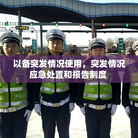 以备突发情况使用,突发情况应急处置和报告制度