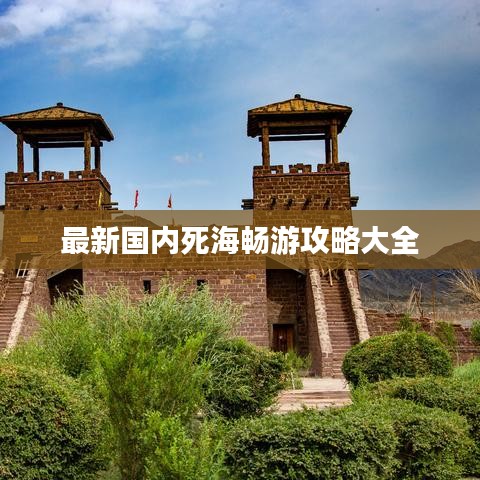 最新国内死海畅游攻略大全