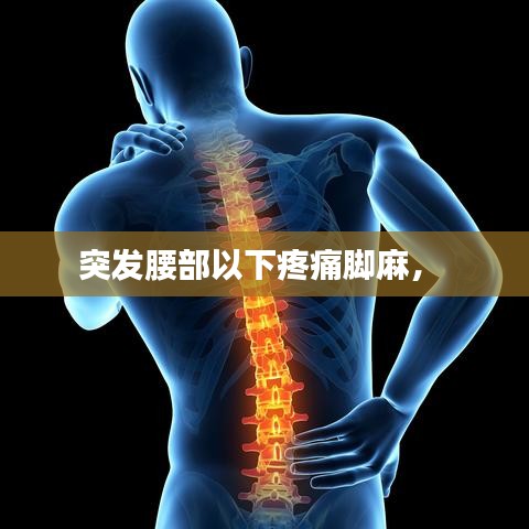 突发腰部以下疼痛脚麻,