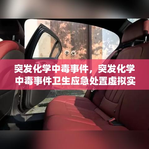 突发化学中毒事件，突发化学中毒事件卫生应急处置虚拟实验 