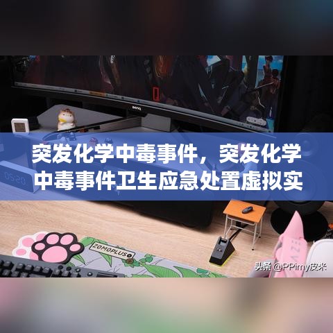 突发化学中毒事件,突发化学中毒事件卫生应急处置虚拟实验
