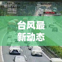 台风最新动态,今日路线更新报告
