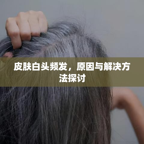 关于我们 第135页