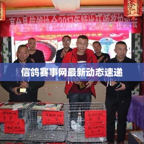 信鸽赛事网最新动态速递