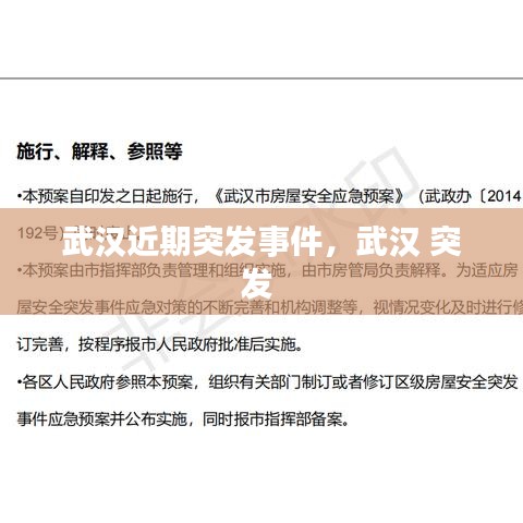 武汉近期突发事件,武汉 突发