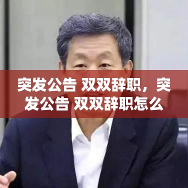 突发公告 双双辞职,突发公告 双双辞职怎么写