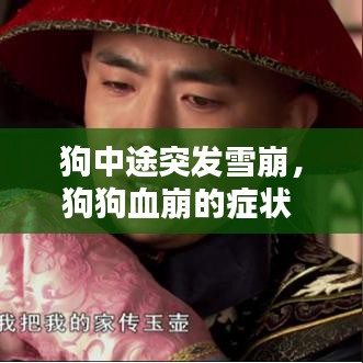 机械设备回收 第139页