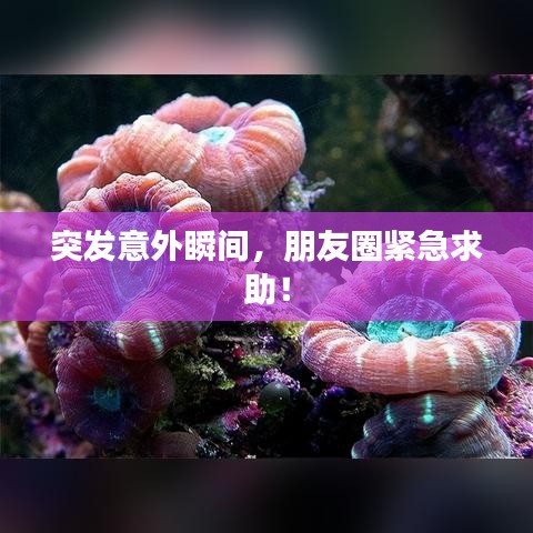 突发意外瞬间,朋友圈紧急求助!