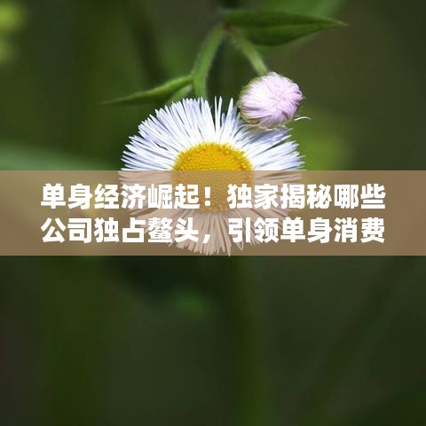 单身经济崛起!独家揭秘哪些公司独占鳌头,引领单身消费潮流
