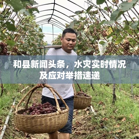 和县新闻头条，水灾实时情况及应对举措速递