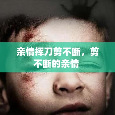 亲情挥刀剪不断，剪不断的亲情 