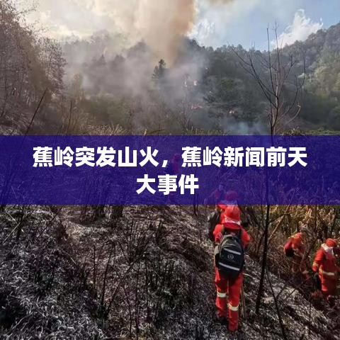 蕉岭突发山火,蕉岭新闻前天大事件