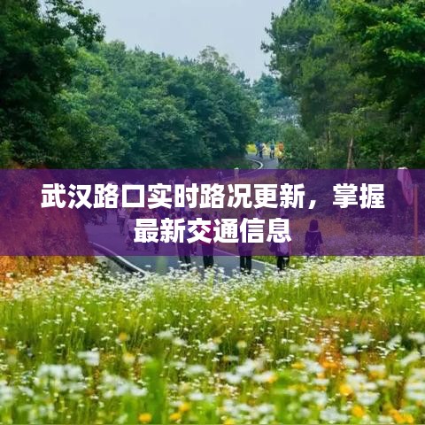 武汉路口实时路况更新，掌握最新交通信息