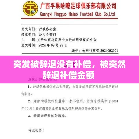 突发被辞退没有补偿，被突然辞退补偿金额 