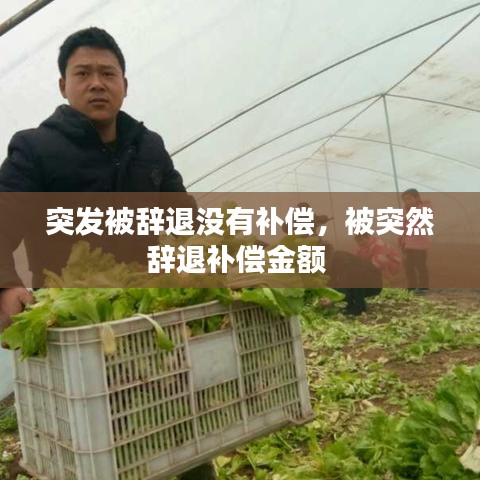 突发被辞退没有补偿,被突然辞退补偿金额