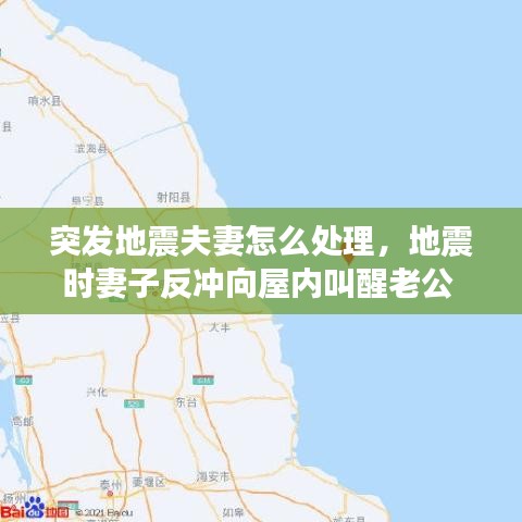 突发地震夫妻怎么处理,地震时妻子反冲向屋内叫醒老公