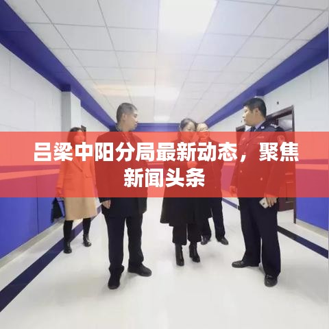 吕梁中阳分局最新动态，聚焦新闻头条