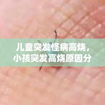 儿童突发怪病高烧,小孩突发高烧原因分析