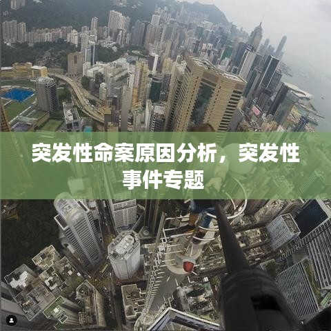 突发性命案原因分析,突发性事件专题