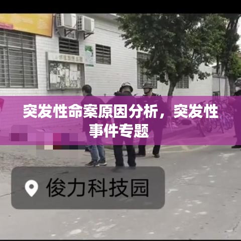 国金证券官方下载,实地数据执行分析-云端版_v2.540